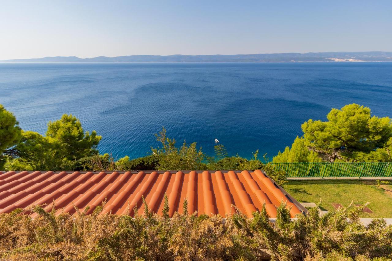 Luxury Apartments Villa Ruzmarina With New Heated Infinity Pool And Lounge Area Marusici  Zewnętrze zdjęcie
